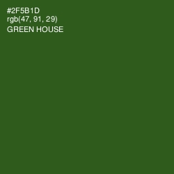 #2F5B1D - Green House Color Image